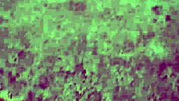 hey i follow this mature bbw milf and lift her skirt up in the street for fun 😏