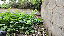 casi nos descubren, i'm pounding mexican neighbor bbw in outdoor doggystyle anal