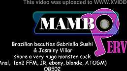 I Feel So Thrilled With Brazilian Beauties Gabriella Gushi In Anal 1on2 Ffm Gapes Smoke Fetish Ir Ebony Blonde Atogm Atm Ob502