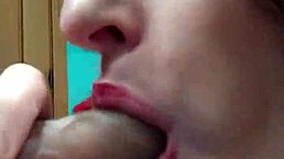 Gemmagomory Update 4 at Level 0 from February 20 2024 Release