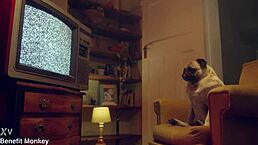 Perfect Blonde Candee Licious Shows Body In Lingerie