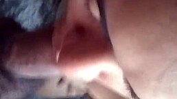 I feel so aroused giving aurora estelar a luxurious oral treat to hunter 666 with hot cum for breakfast