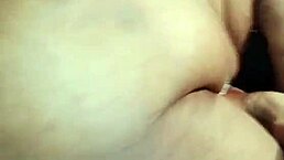 尼加克里斯更新6月19日自制风和佩塔尔玩