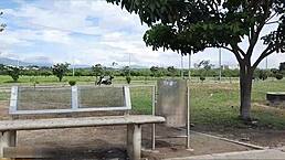 Amateur Latina stepmom makes a deal for quickie blowjob and doggystyle. She takes big cock in Colombian outdoor passion.