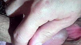 CON HÀNG HƠI ÍT NƯỚC GETS WILD!