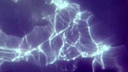 teen blonde shoves dildo underwater for creampie close-up