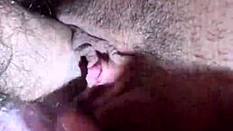 CON HÀNG HƠI ÍT NƯỚC GETS WILD!