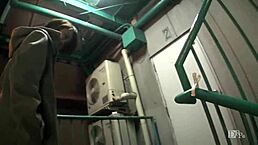 Hey, let's go for a remote vibrator walk in the night alley!