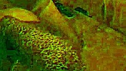 uh, single guy spread my legs and pounded me deep at the party