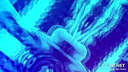 Why do these shameless Asian girls keep showing up in this Japanese compilation volume 7