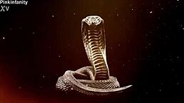 Is This Snow Bunny Slut Ready To Worship A King Cobra Cock Raw And Rough Until Dripping?