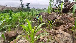 we went to the farm to fuck, but why did you worship my ass like that?