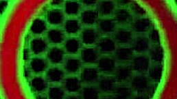 hot vicky vette strips her sexy costume and plays with herself outdoors 😏