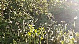 I Piss Publicly in Nature Then Masturbate Pussy to Orgasm!