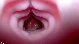 emelie takes her bad dragon toy for a quick anal creampie session with close-up sounds and monster cock action  