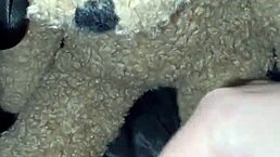 哇极端阿拉伯硬核合集食物恋物18岁白妞自慰求BBC