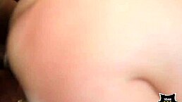 provocative rome major meals