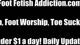 Beg and I might let you touch my silky feet... if you're good! 😏👣