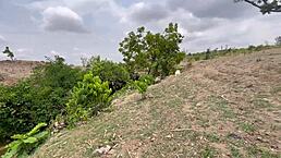 Ass Worship Outdoor Dicked a Bitch with Huge Tits and Big Ass