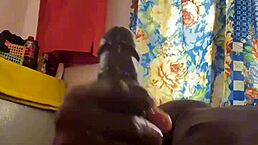 Horny BBC College Students Jerk Off Big Cocks Dreaming Of Fucking Teacher After Class?