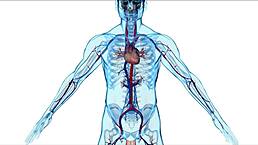 In this preview, step mom Crystal Clark from WCA Productions offers help with those challenging hormones in a bedroom setting.