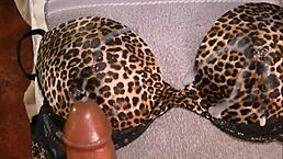 i love punhetando my cock until gozando all over this big tits bra in 36d size