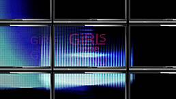 alexandria jane's tampa university entrance physical