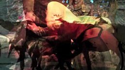 vintage hairy beauty bent over for outdoor doggystyle pounding