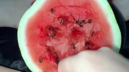 疯癫阿拉伯白肤骚货撕衣BBC食物癖潮吹群P！