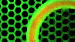 wanna see julia ann slam glass dildo deep in milf slit?