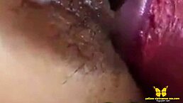 Vietnamese Girl from Phuquoc Loves Sexy Anal with Big Cock