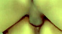 Isn't This Yucateca's Petite Morena Body Irresistibly Delicious?