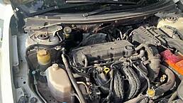 ever wonder why she risks it all cheating on boyfriend for outdoor quickie?