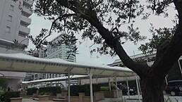 young japanese wife cheats in steamy affair part one