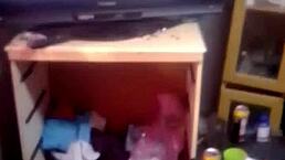 Fucking Fat Wife Watching Tight Teen Stepdaughter Video